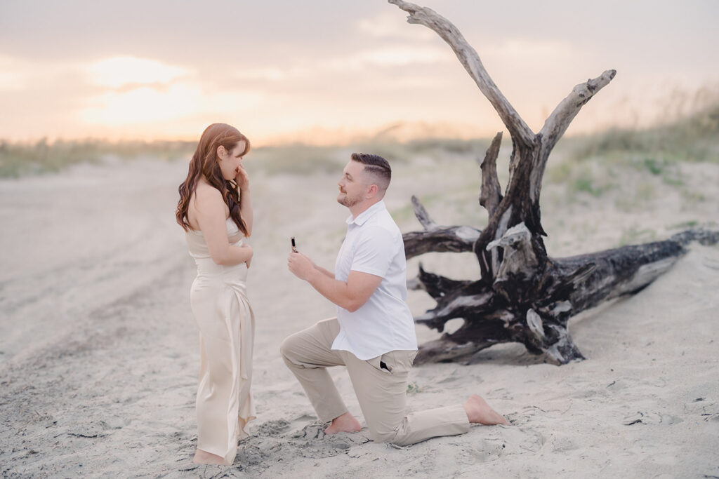 Savannah Proposals, Where to Pop the Question