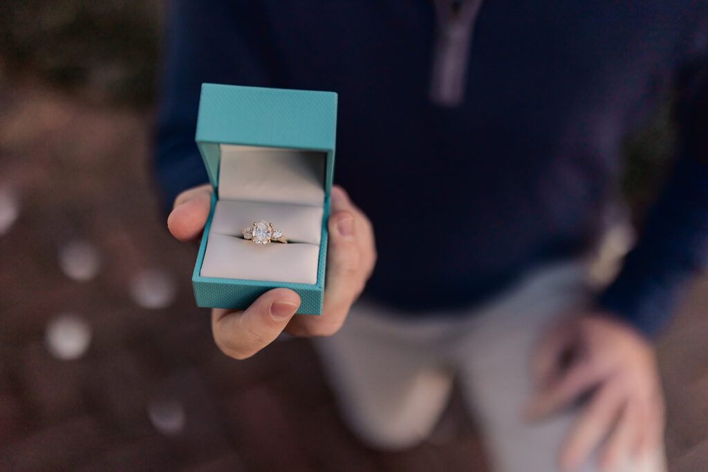 An Unforgettable Proposal in Whitfield Square
