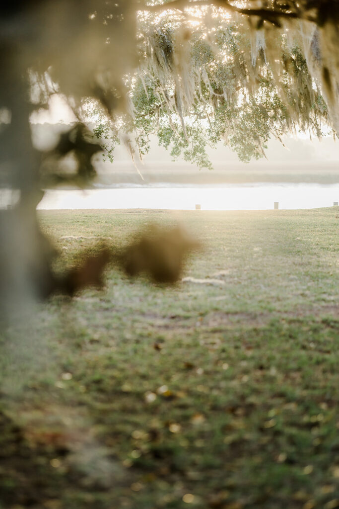 Beaulieu Estate--The Ultimate Wedding Venue