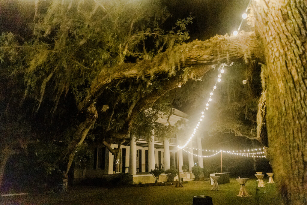 Beaulieu Estate--The Ultimate Wedding Venue