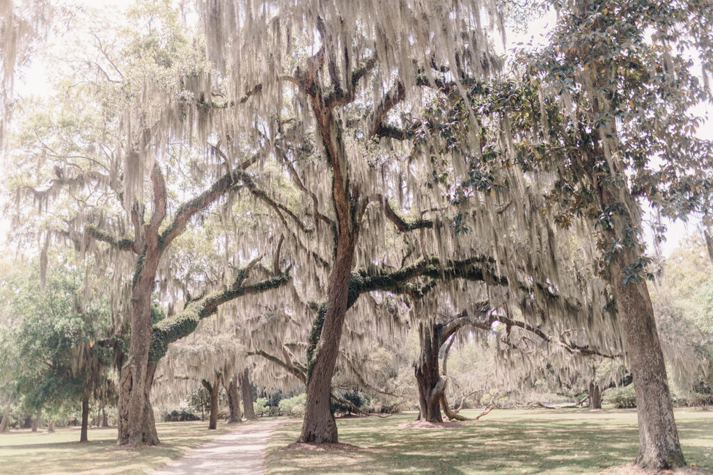 Beaulieu Estate--The Ultimate Wedding Venue