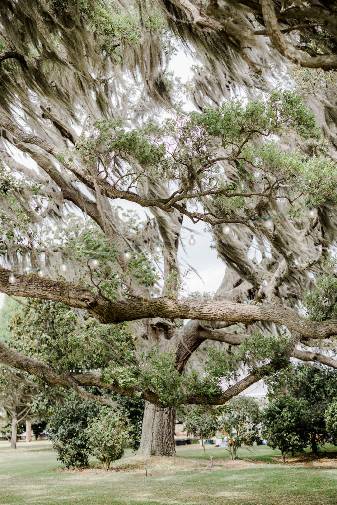 Beaulieu Estate--The Ultimate Wedding Venue