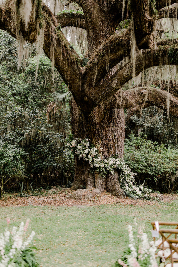 Beaulieu Estate--The Ultimate Wedding Venue