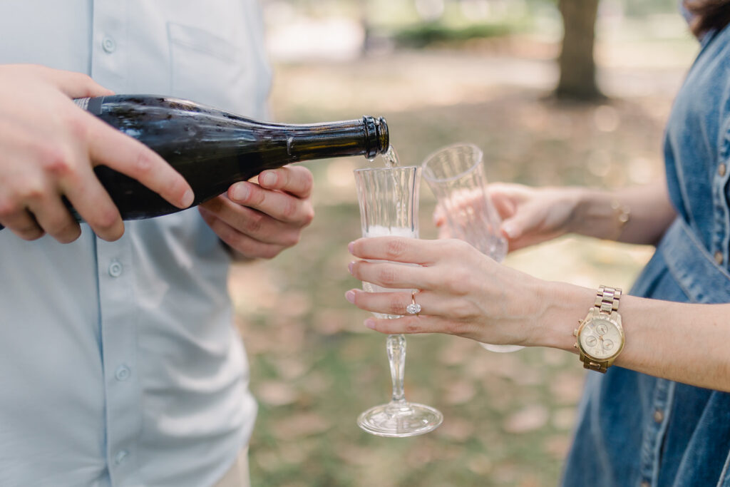 Magical Forsyth Park Proposal