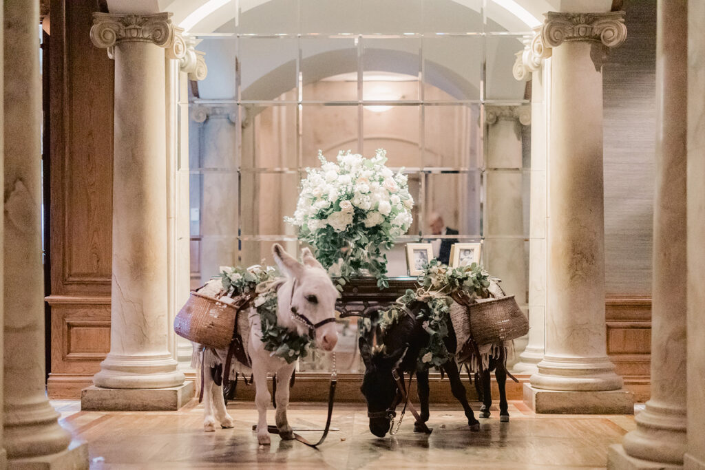 Savannah & Destination Wedding Photographer