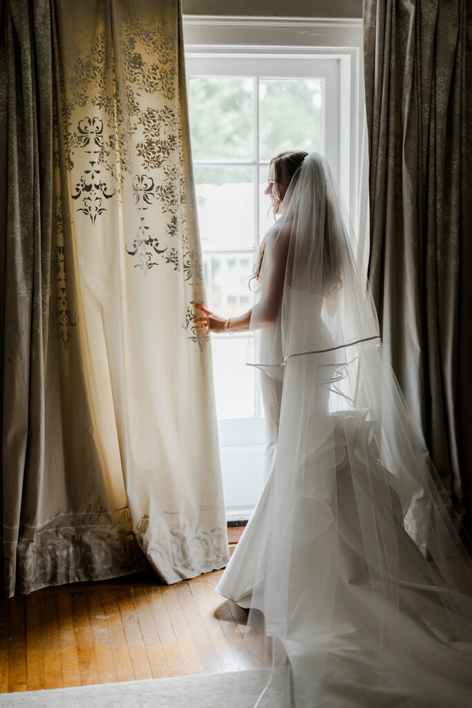 Bridal silhouette