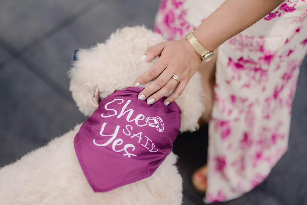 A Romantic Surprise Proposal at Forsyth Park