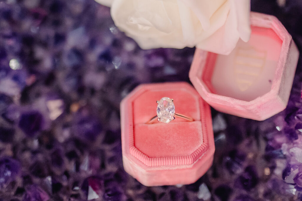 A Perfectly Planned Proposal at Plant Riverside