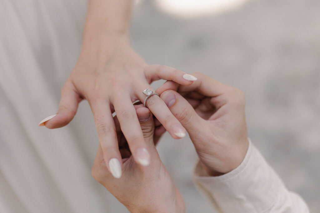 A Picture-Perfect Proposal on the Avenue of Oaks