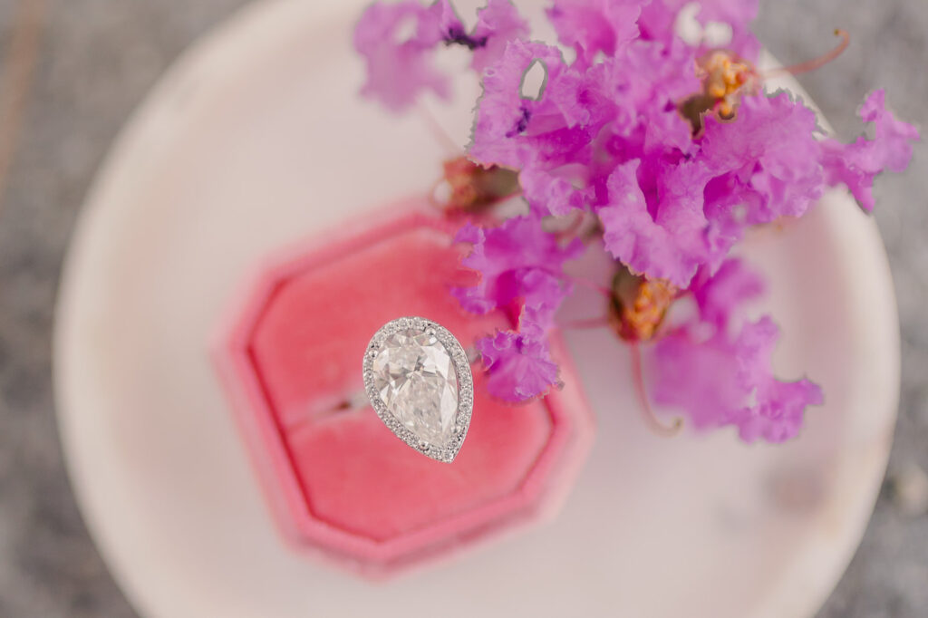 Celebrate a Savannah Engagement at Wormsloe