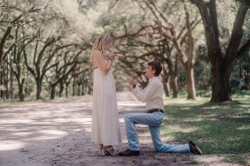 A Picture-Perfect Proposal on the Avenue of Oaks