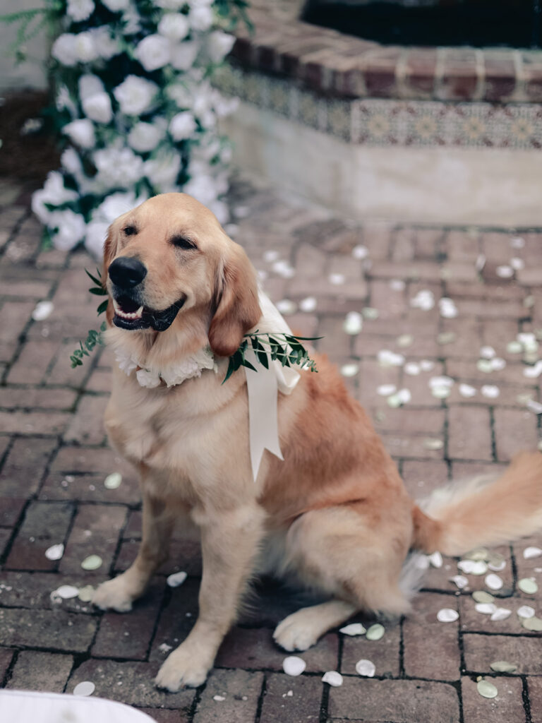 Discover A Dreamy Sea Island Elopement