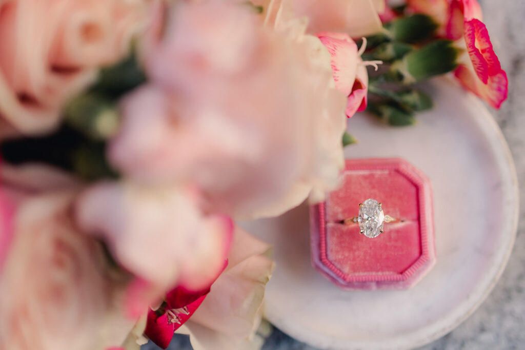 An Unforgettable Savannah Proposal