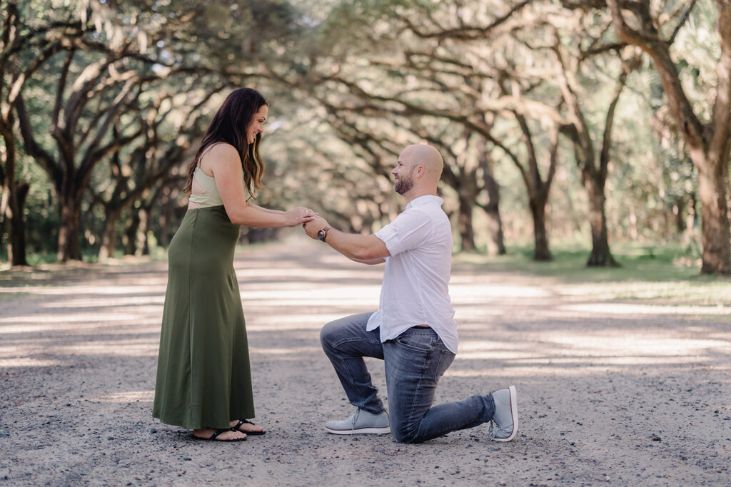 A Magical Wormsloe Proposal