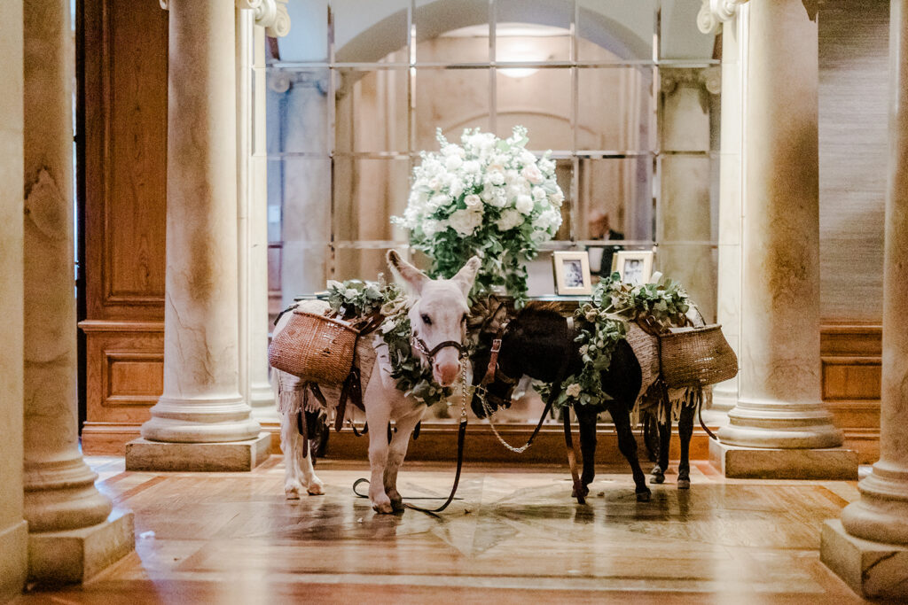 Esther Griffin Photography: My Signature Style