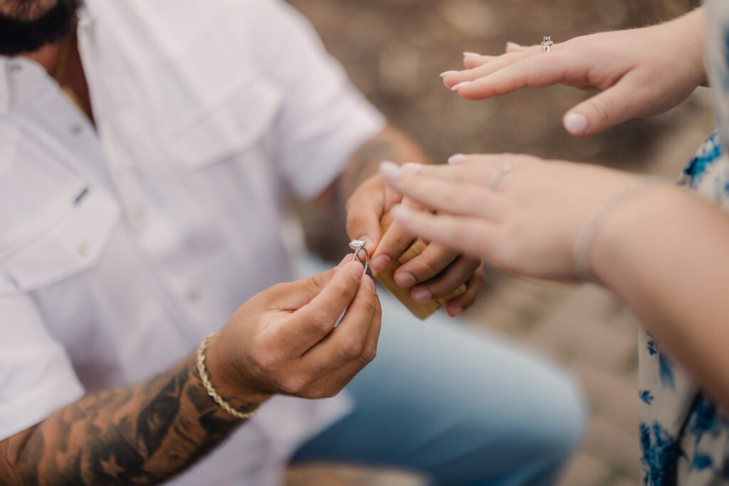 Surprise Proposal in Savannah