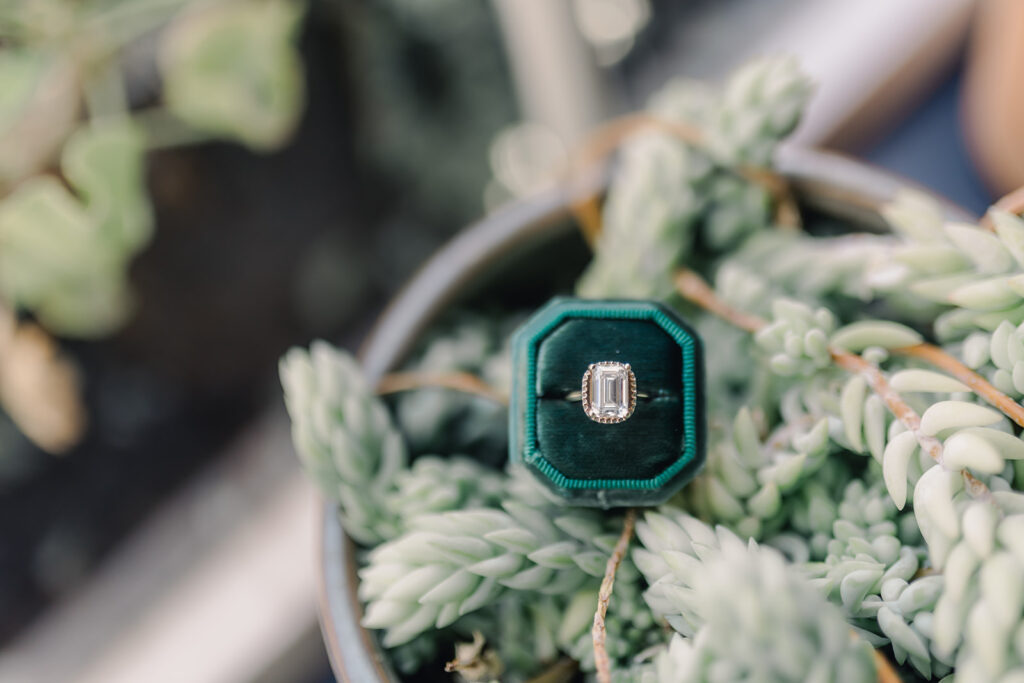 Show Off Your Engagement Ring - Esther Griffin Photography