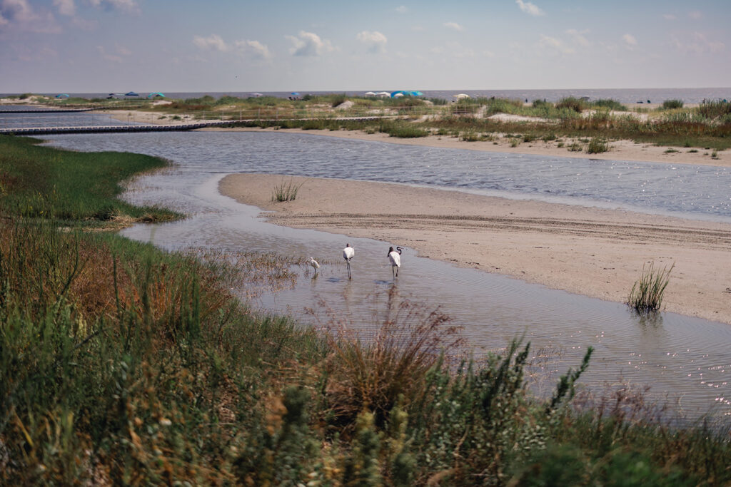 St Simons Island GA Wedding King and Prince Resort - Esther Griffin Photography
