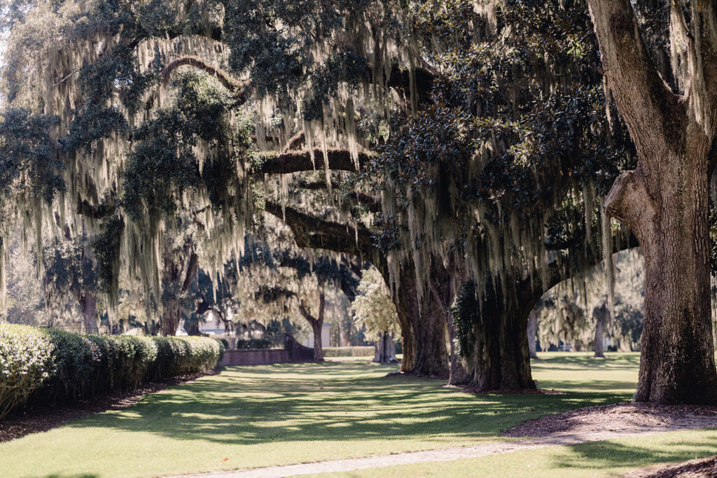 Ford Field & River Club