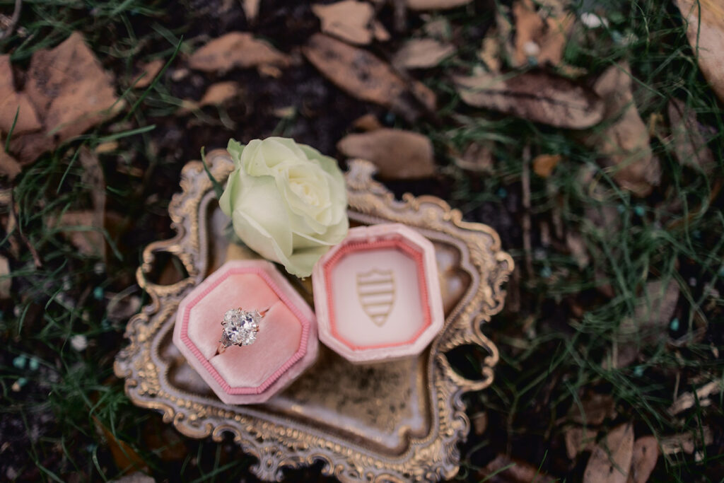 Thinking About a Proposal This Holiday Season?