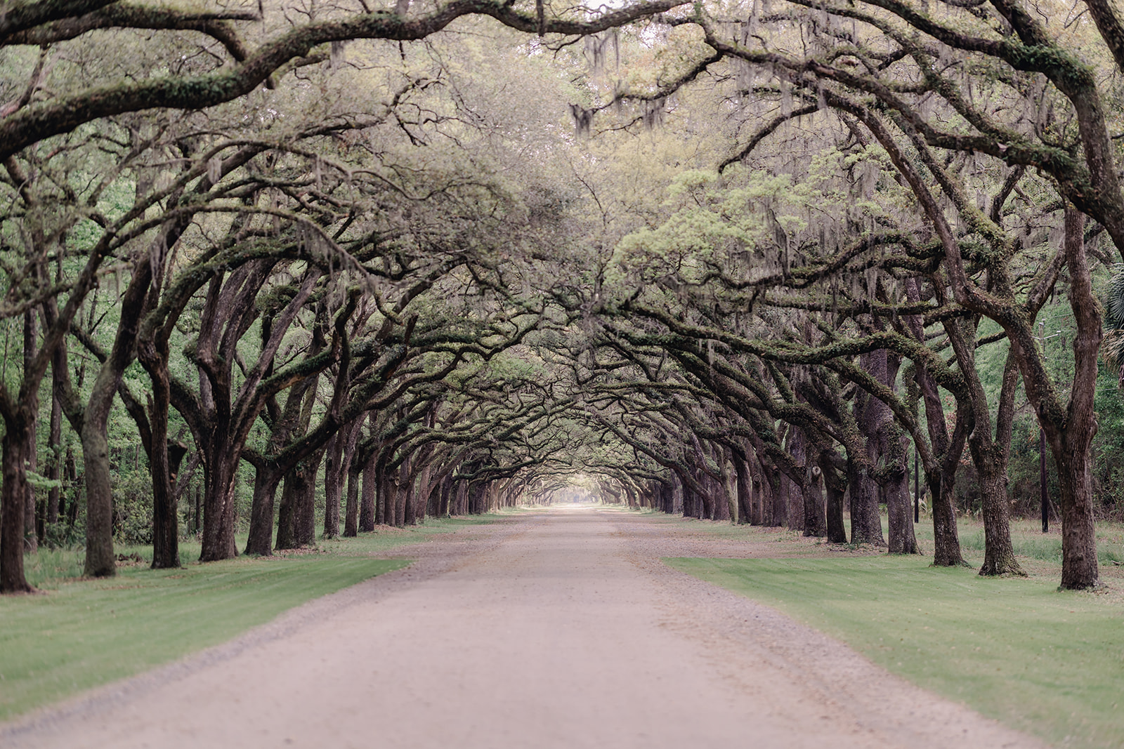 Wormsloe Historic Site