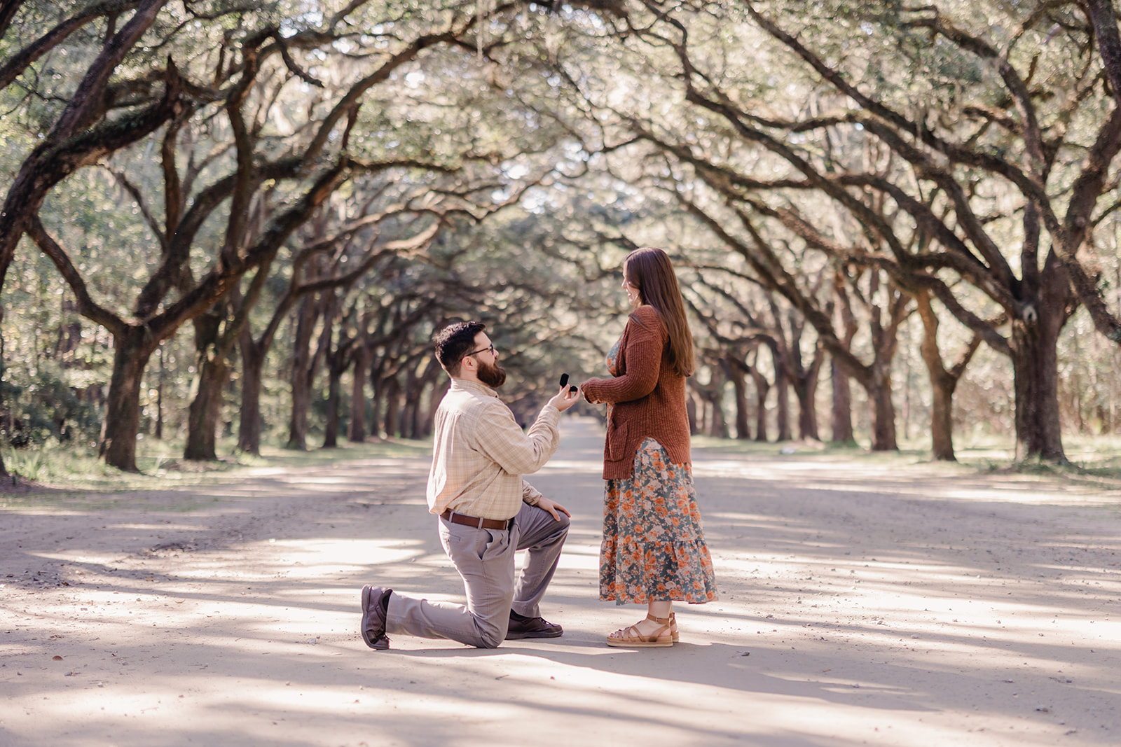 Proposal at Wormsloe Historic Site in Savannah, GA