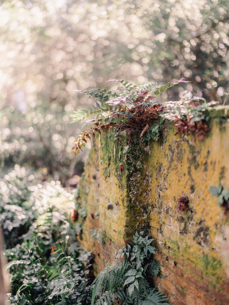 Wedding Venue Ships of the Sea Maritime Museum in Savannah - Esther Griffin Photography
