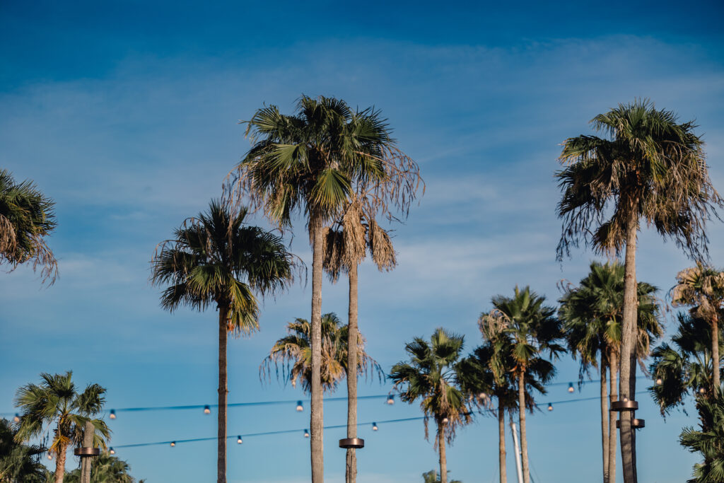 Luxury Savannah Wedding - Westin Savannah - Esther Griffin Photography