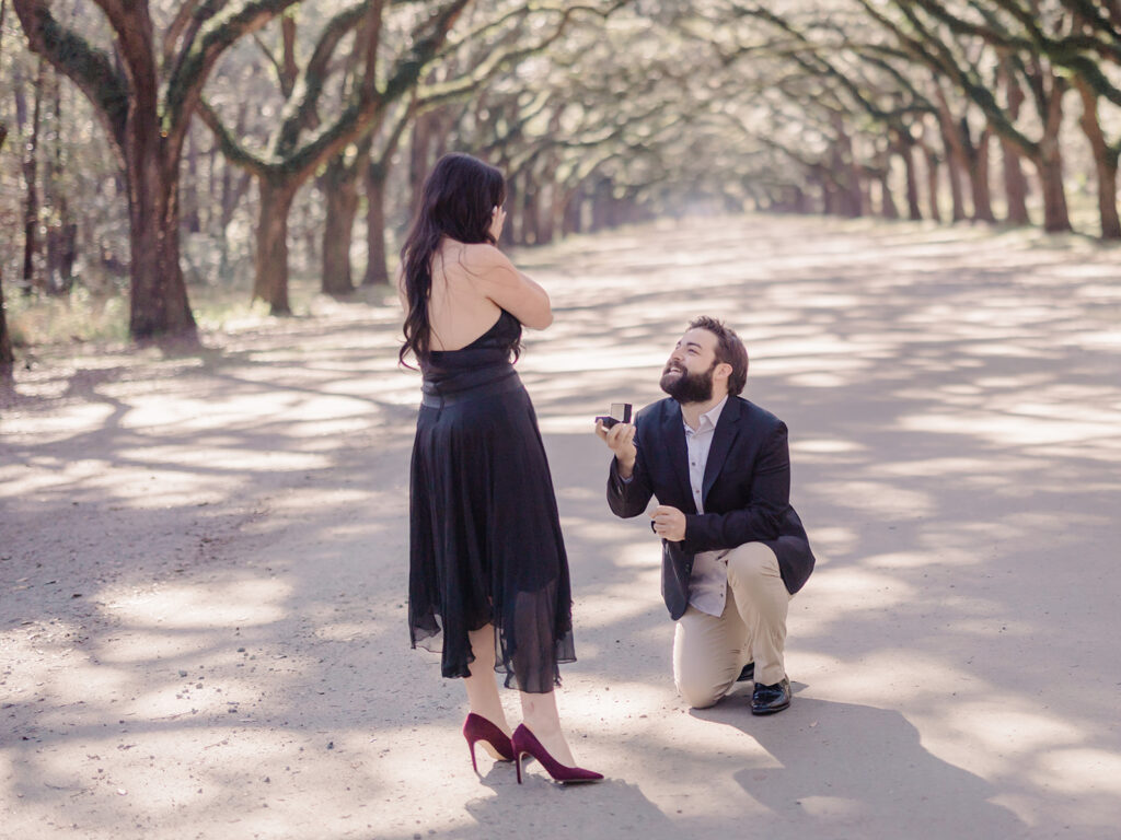 Wormsloe Proposal - Esther Griffin Photography