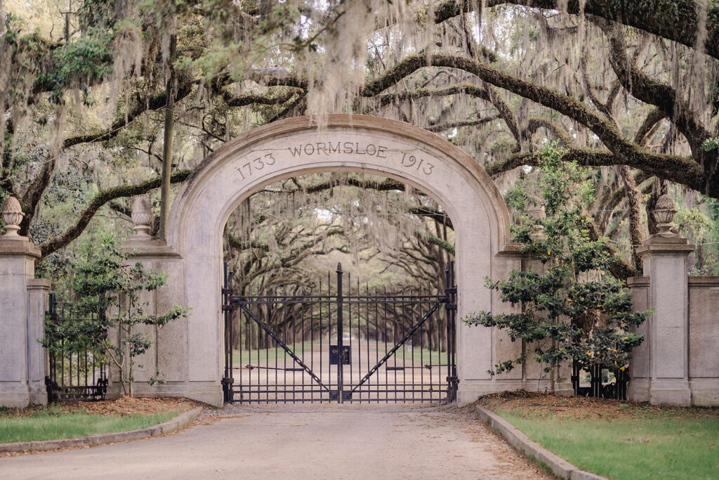 Wormsloe Historic Site - Best Photo Locations in Savannah - Esther Griffin Photography