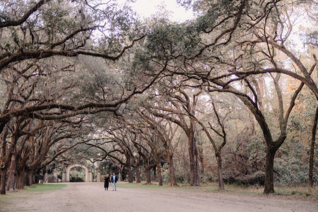 Wormsloe Historic Site - Best Photo Locations in Savannah - Esther Griffin Photography