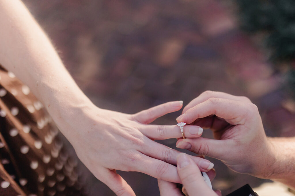 Whitefield Square Proposal - Esther Griffin Photography