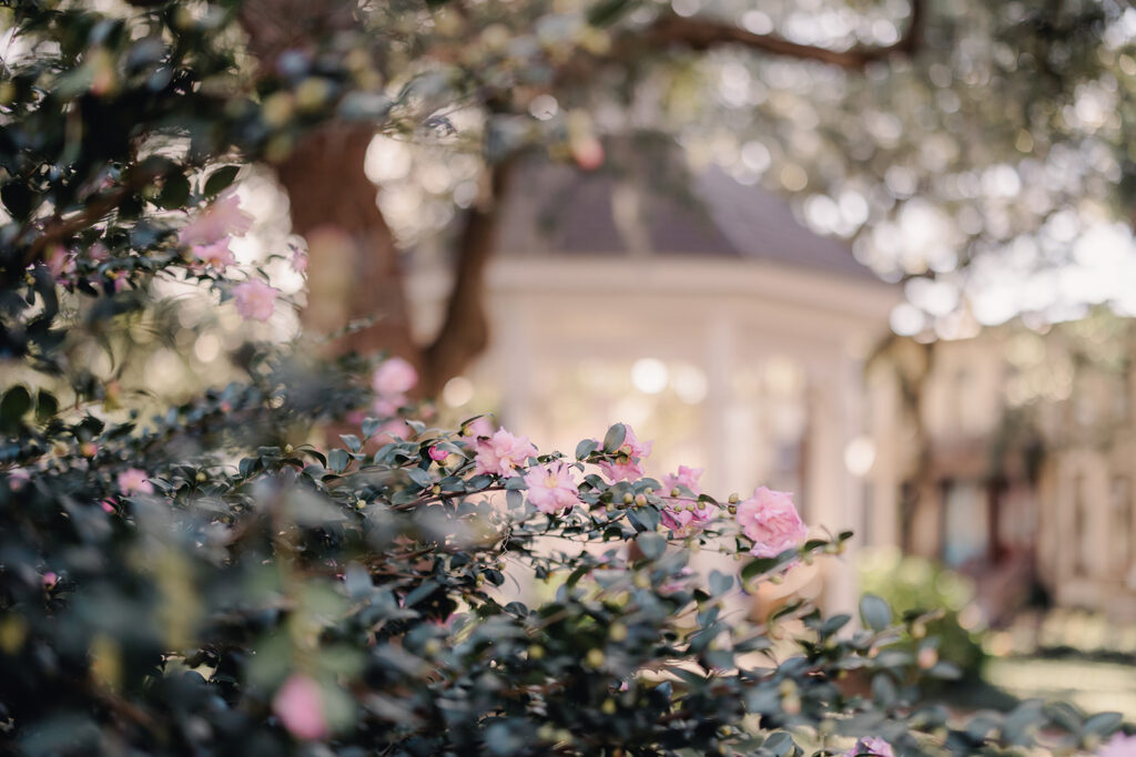 Proposal Photos at Whitefield Square in Savannah - Esther Griffin Photography