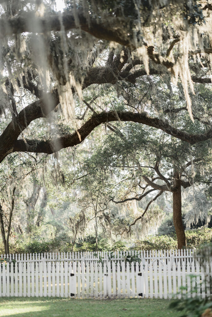 Bluff Drive - Savannah Photo Venue - Esther Griffin Photography