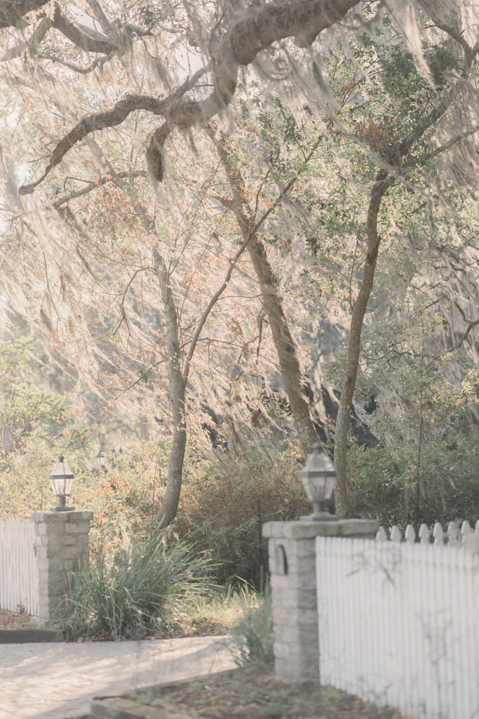 Bluff Drive - Savannah Photo Venue - Esther Griffin Photography