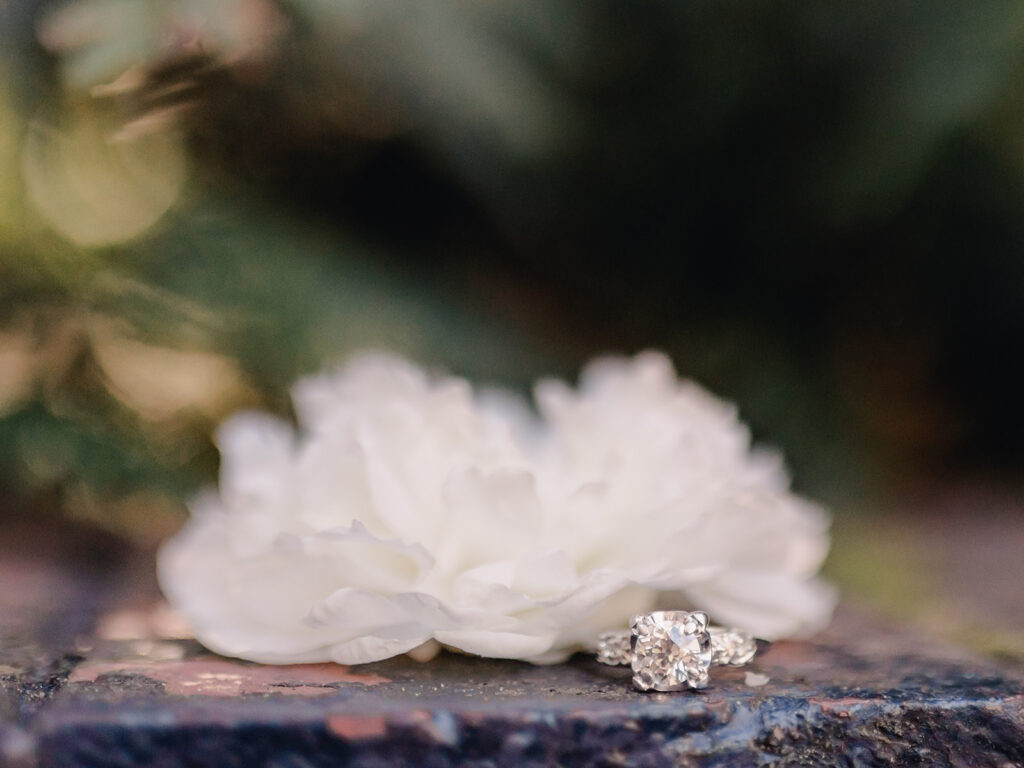 Forsyth Park Proposal - Esther Griffin Photography