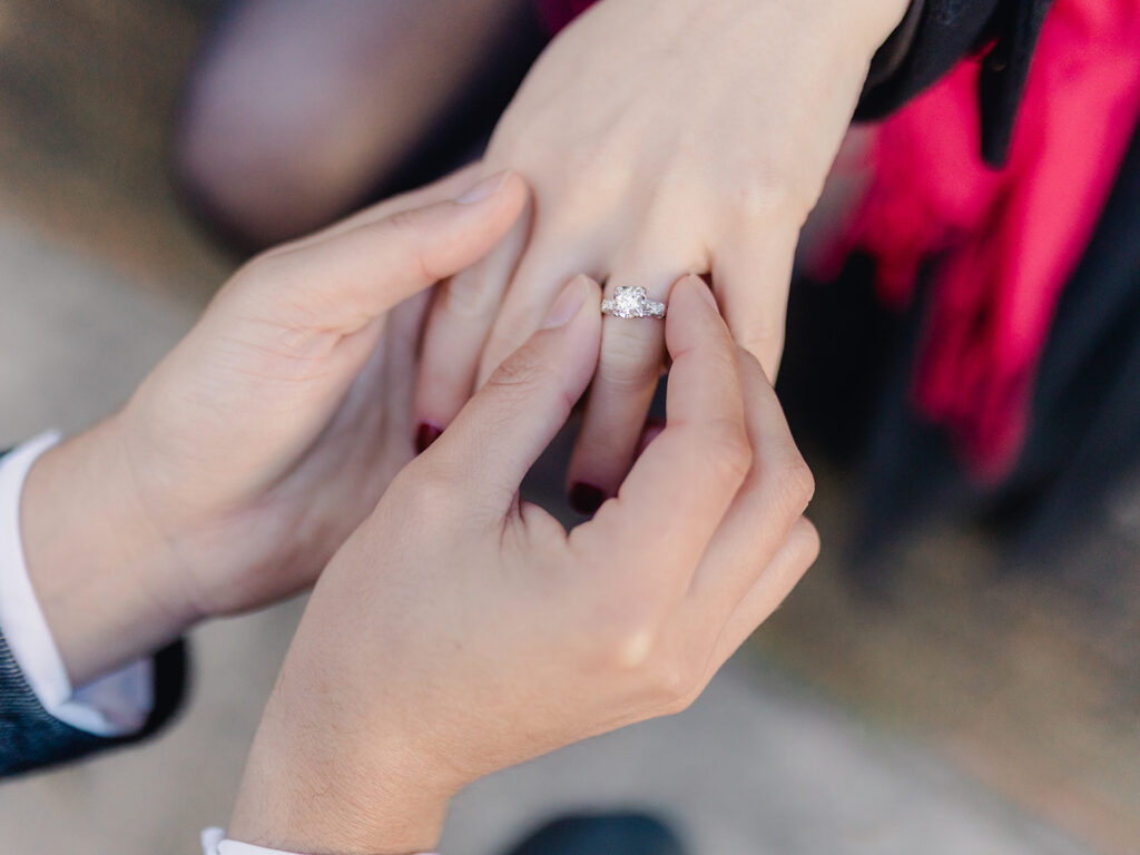 Forsyth Park Proposal - Esther Griffin Photography