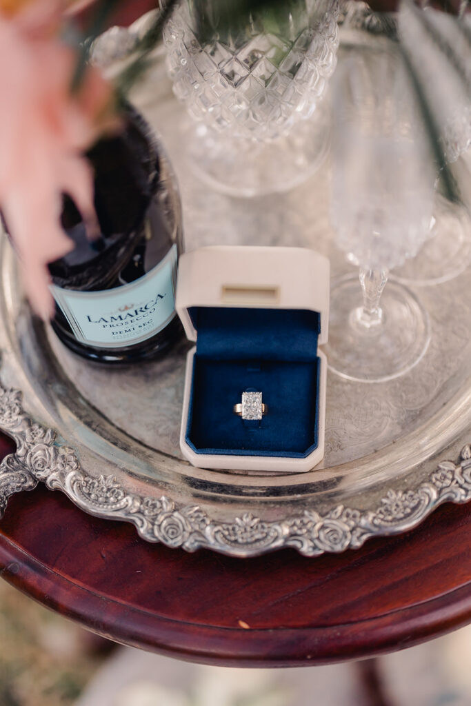 Waterfront Savannah Proposal - Esther Griffin Photography