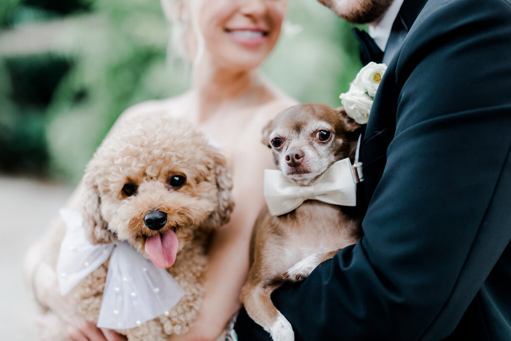 Micro-Weddings in Photos -Esther Griffin Photography